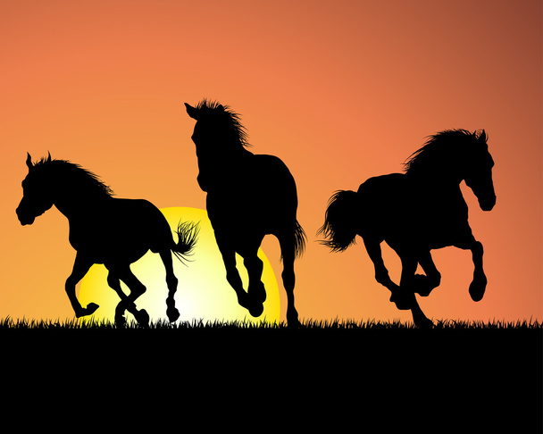 Horse on sunset background - Vector, Image