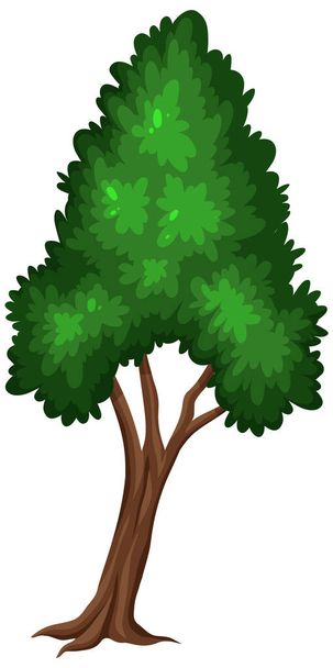 Een grote boom op witte achtergrond illustratie - Vector, afbeelding