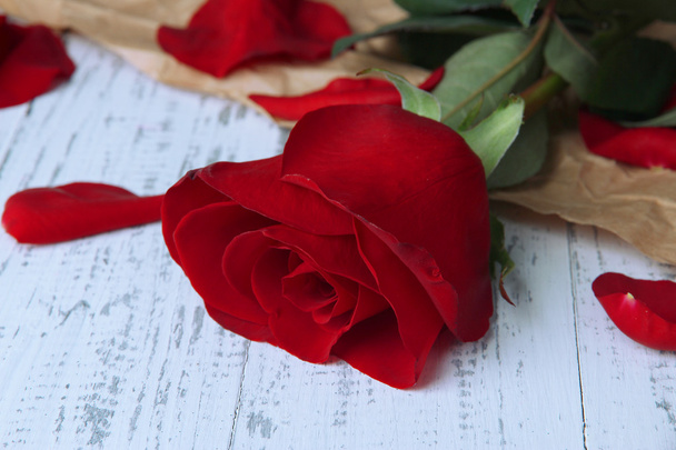 Beautiful red rose on wooden table close-up - Foto, Imagem