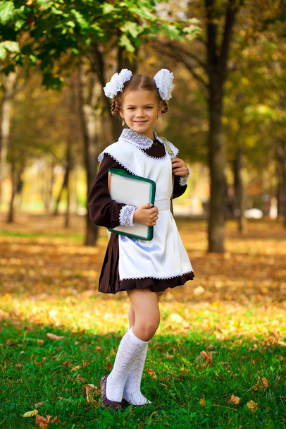 Portrait of a beautiful young first-grader in a festive school uniform on the background autumn park - Fotografie, Obrázek