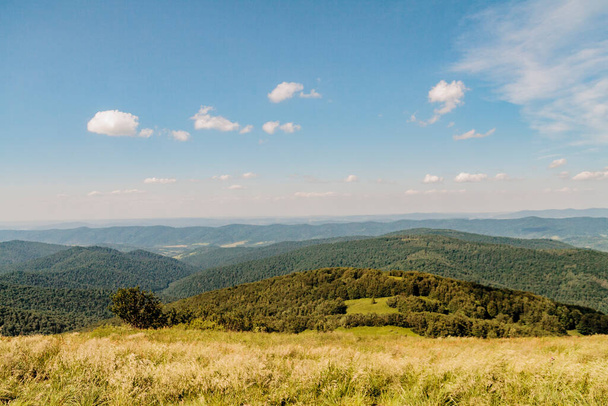 Polonya 'daki Bieszczady Dağlarında Wetlinska Polonyna - Fotoğraf, Görsel