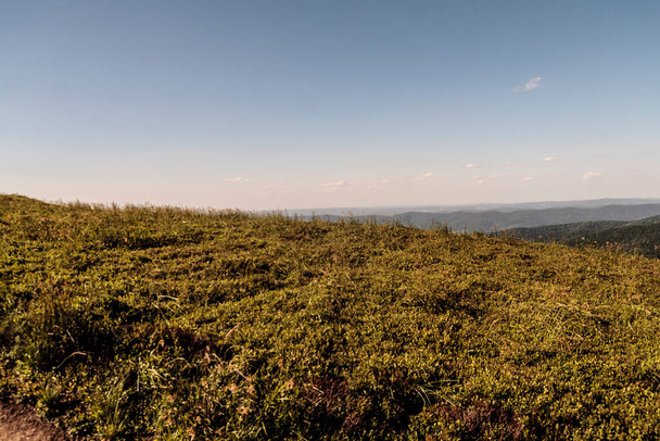 Wetlinska Polonyna en las montañas Bieszczady en Polonia
 - Foto, imagen
