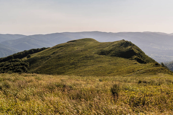 Wetlinska Polonyna v pohoří Bieszczady v Polsku - Fotografie, Obrázek