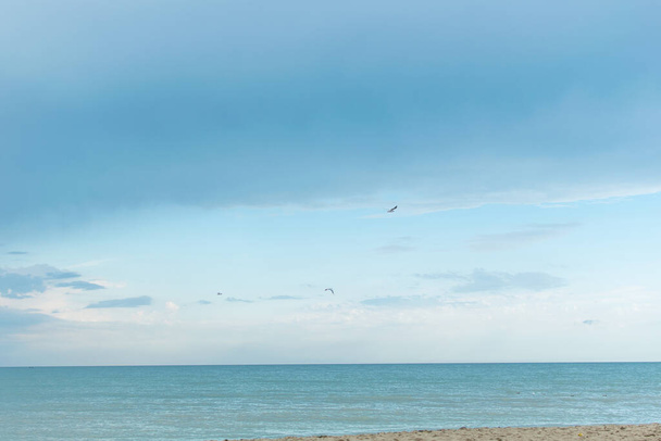 View from shore to the sea with flying seagulls. - Foto, immagini