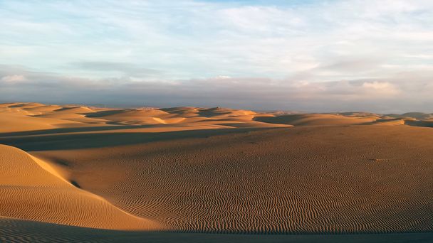 砂漠と砂丘 - 写真・画像