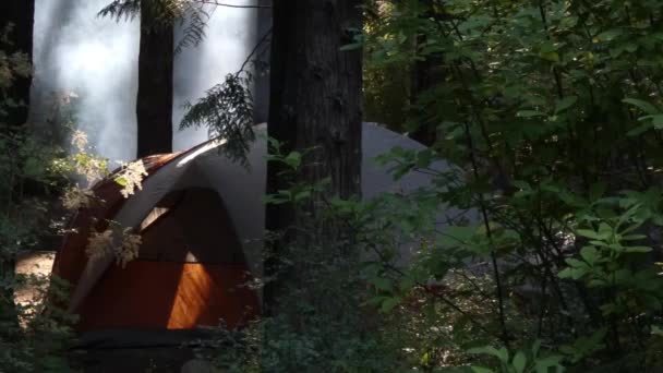 λευκή και πορτοκαλί σκηνή στημένη σε δάσος - Πλάνα, βίντεο