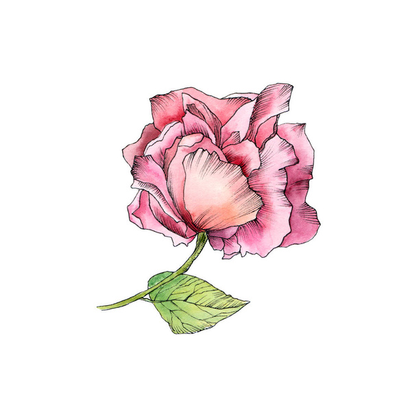 Single drawing flower. Watercolor red rose. Hand drawn flowers for birthday card decor. Wedding invitation flral design. Floral greeting card. - 写真・画像