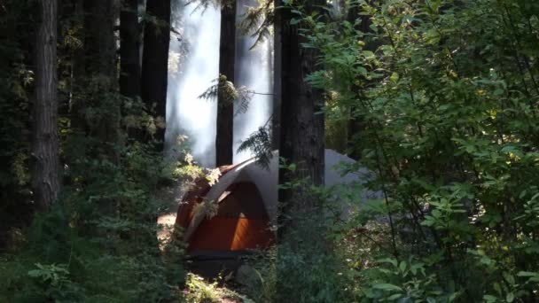 fehér és narancssárga sátor felállítása erdőben - Felvétel, videó