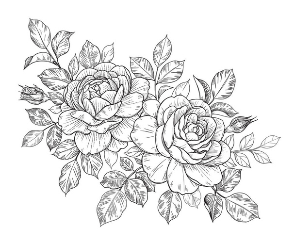 Hand drawn rose flowers, buds and leaves bunch isolated on white. Vector line art monochrome elegant floral composition in vintage style, t-shirt, tattoo design, coloring page, wedding decoration.  - Vetor, Imagem