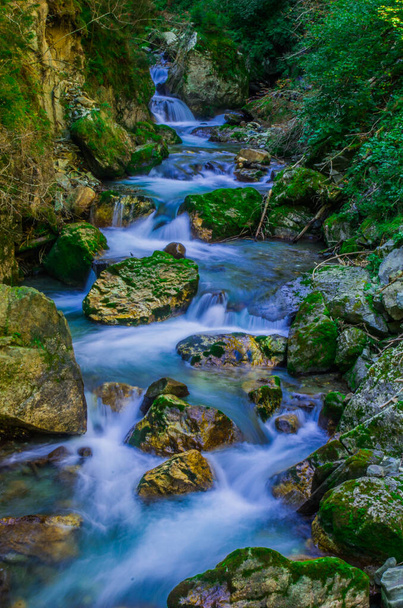 Свежая вода из горного ручья течет чистой в зелени и в лесах
 - Фото, изображение