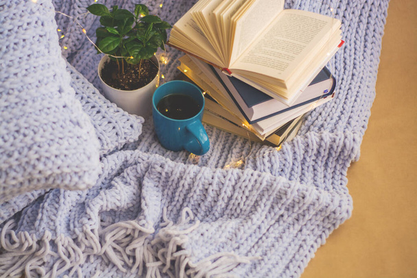 Background of blue knitted plaid and pillows in cosy house with flower in pot and books, mug of tea, a garland. Home place work. - Foto, Bild