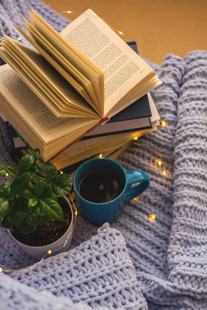 Fond de plaid tricoté bleu et oreillers dans une maison confortable avec des fleurs en pot et des livres, tasse de thé, une guirlande. Travail à domicile
. - Photo, image