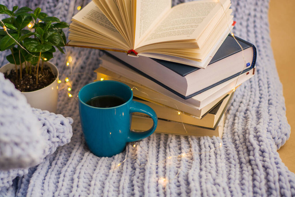 Fondo de cuadros de punto azul y almohadas en casa acogedora con flor en maceta y libros, taza de té, una guirnalda. Lugar de trabajo
. - Foto, imagen