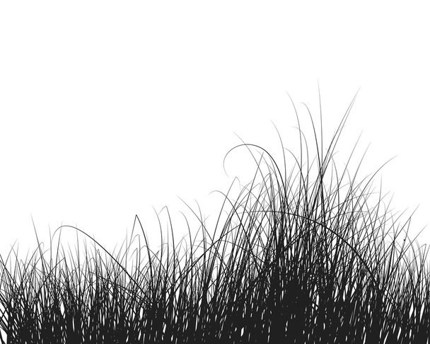 Hierba y flores
 - Vector, imagen