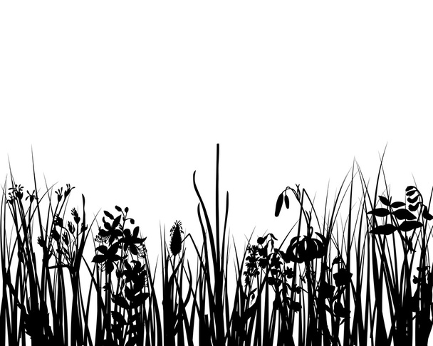Hierba y flores
 - Vector, imagen