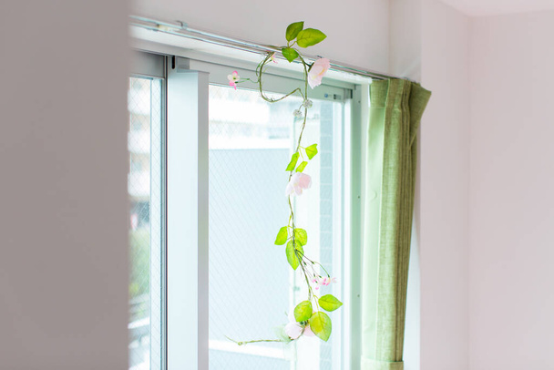 Una planta decorativa que añade color a tu vida en una habitación residencial
 - Foto, imagen