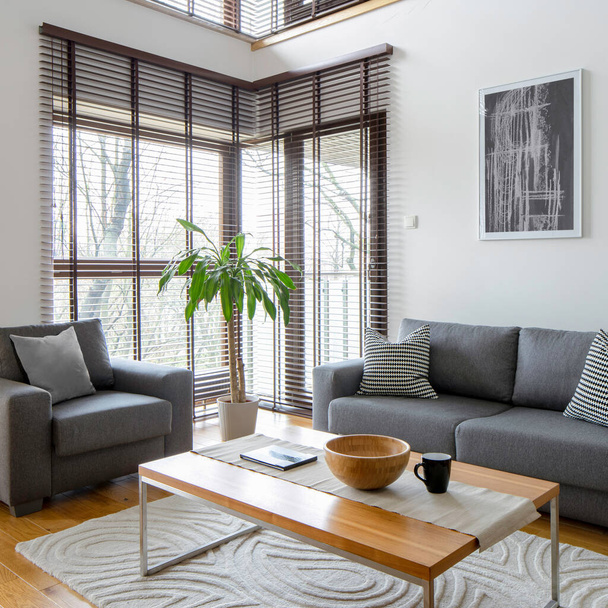 Stijlvolle woonkamer met grijs meubilair en grote ramen met rolluiken - Foto, afbeelding