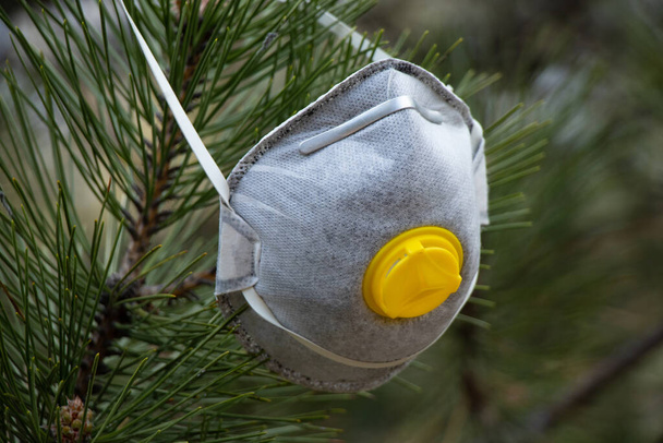 masque médical accroché aux branches d'un arbre de Noël dans une forêt
 - Photo, image