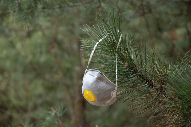 orvosi maszk lóg az ágak egy karácsonyfa egy erdőben - Fotó, kép