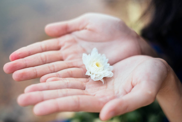 A white flower on the hands of Thai girl. - Фото, изображение