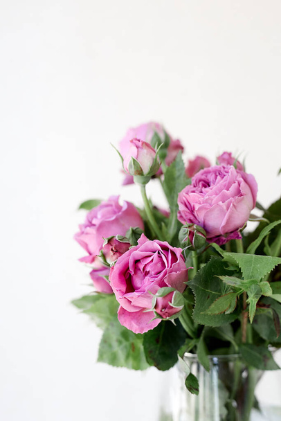 A close up of a rose flower - Fotoğraf, Görsel