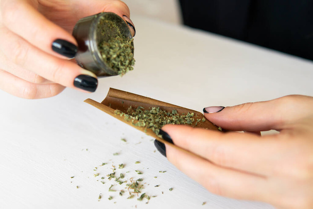 Cannabis use concept. Woman rolling a marijuana joint on white background. Woman preparing and rolling marijuana cannabis joint. Close up of marijuana blunt with grinder. - Foto, imagen