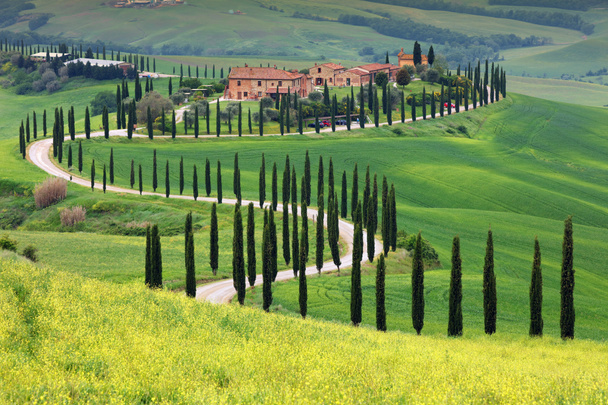 Paisaje típico de Toscana paisaje, Italia
 - Foto, Imagen