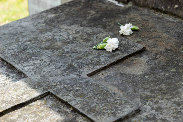 Fermé à Old Tombstone dans un cimetière avec de la mousse et deux fleurs blanches sur
 - Photo, image