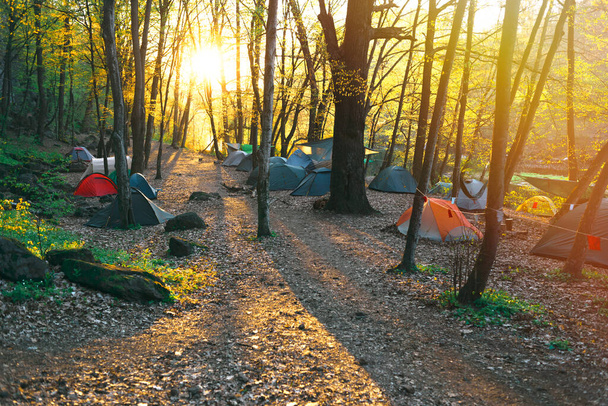 Tent camp in the forest by the river - Foto, Imagem