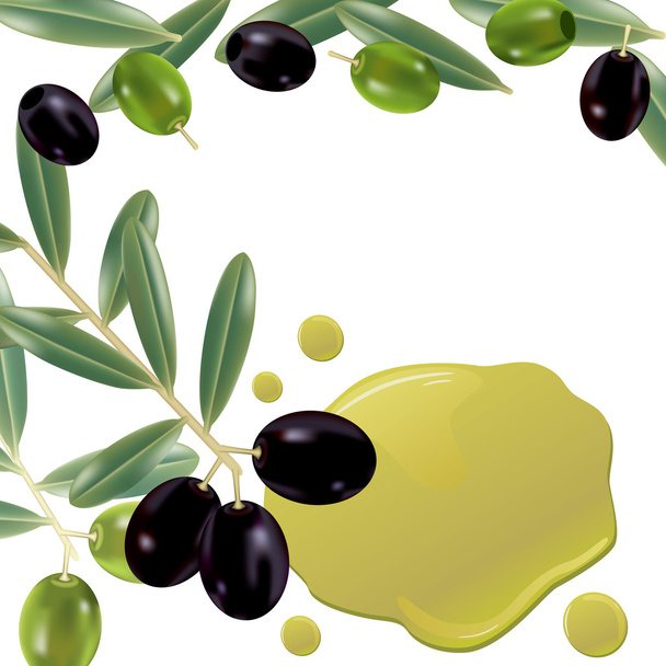 Realistic olive oil background - Vektori, kuva