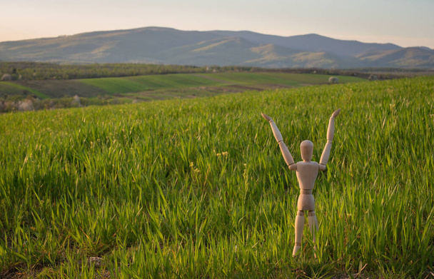 Petit homme articulé se tient dans un champ avec une culture céréalière ascendante
 - Photo, image
