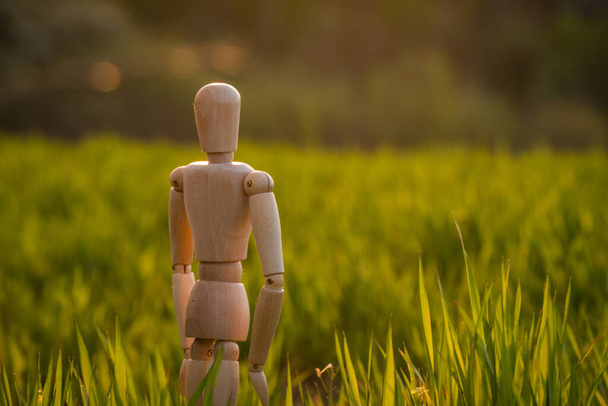 Αρθρωτό ανθρωπάκι στέκεται σε ένα χωράφι με μια καλλιέργεια δημητριακών αύξουσα - Φωτογραφία, εικόνα