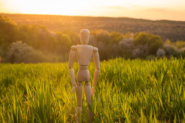 Articulated little man stands in a field with an ascending cereal crop - Photo, Image