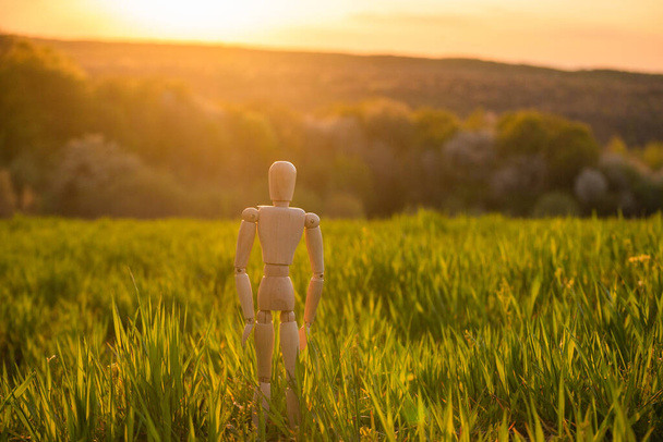 Сочлененный человечек стоит в поле с восходящей зерновой культурой
 - Фото, изображение