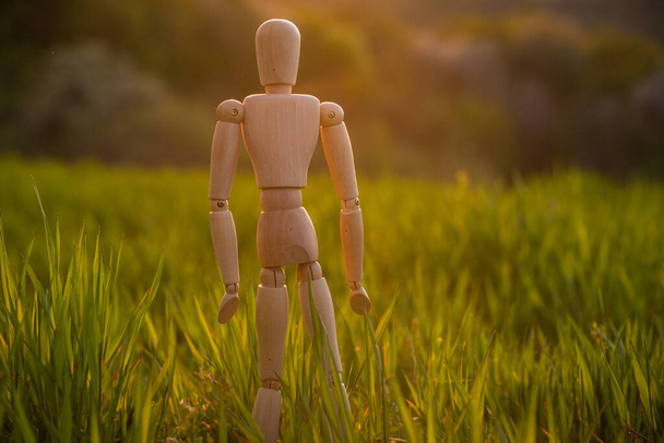Αρθρωτό ανθρωπάκι στέκεται σε ένα χωράφι με μια καλλιέργεια δημητριακών αύξουσα - Φωτογραφία, εικόνα
