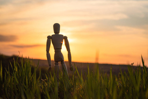 Articulated little man stands in a field with an ascending cereal crop - Photo, Image