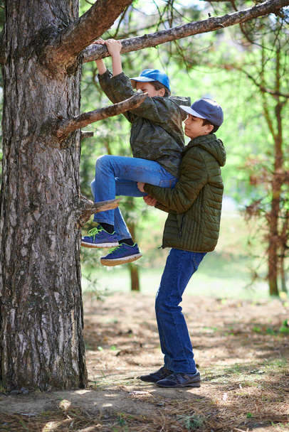 A boy helping to a girl climbing in a tree, bright sunlight, beautiful day - Foto, immagini