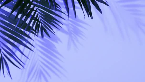 Tropical palm leaves in bold gradient holographic colors - Filmati, video