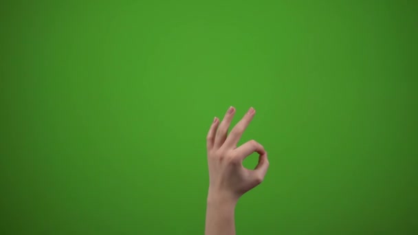 Hand tonen oke geïsoleerd op groen scherm, chroma sleutel - Video