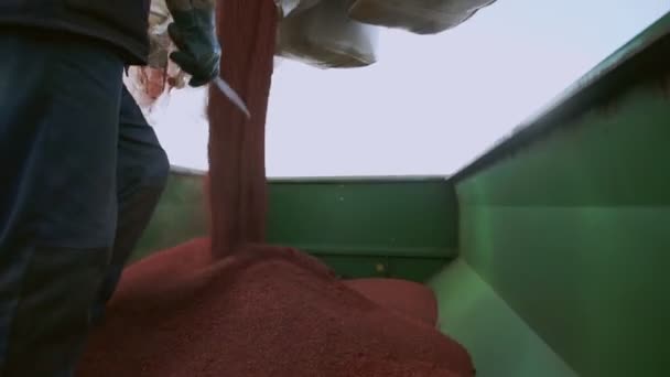 Kémiai műtrágya. A mezőgazdasági termelő trágyazsákokat darabol - Felvétel, videó