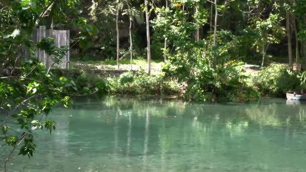divoká zvěř pohled v tropickém jaru s krásnými tyrkysovými tóny ve vodě a svěží džungle vegetace - Záběry, video