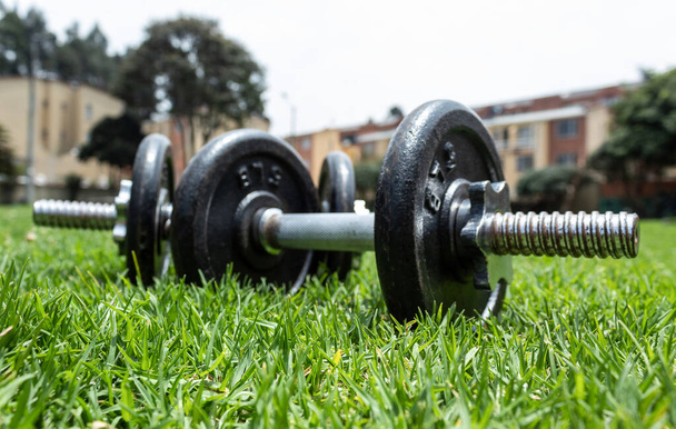 Two Dumbbells over Green Grass at sunny day with neighborhood at background. Ideal fot Streetworkout or Outdoor fitness. Fit concept - Photo, Image