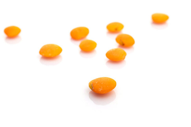 Riga di semi di lenticchie arancioni isolata su bianco. Pile pisello nutrizione sfondo. Cibo sano a base di lenticchie, dieta vegetariana o concetto di alimentazione pulita con antiossidante, omega-3, proteine
. - Foto, immagini
