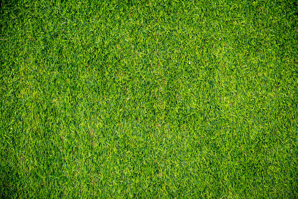 green grass texture background - Foto, immagini