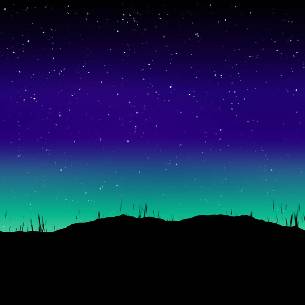 Травянистый силуэт и ночное небо
 - Фото, изображение