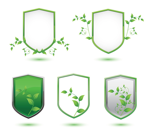 Banner de escudo aislado con hojas verdes sobre un fondo blanco
 - Vector, imagen