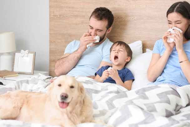 Family ill with flu in bed at home - Foto, Bild