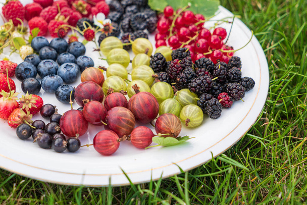 different kinds on berries on white plate - Fotoğraf, Görsel