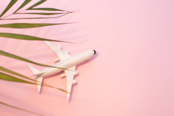 ピンクの背景にホワイトモデルの飛行機とヤシの葉。トップビュー、フラットレイアウト。旅行、休暇のコンセプト. - 写真・画像