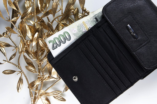 Portemonnee, geld en visum - Foto, afbeelding